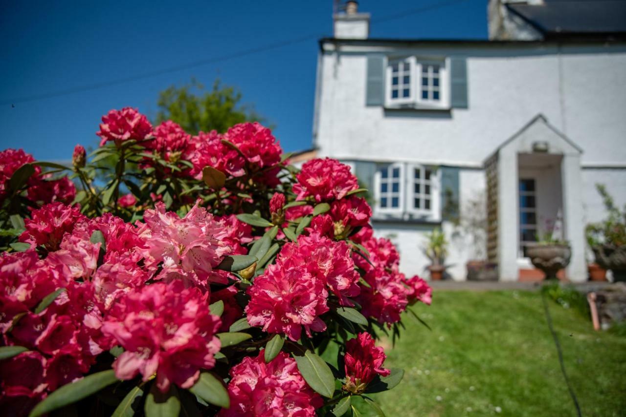 Brentor Self-Catering Apartment Exterior photo